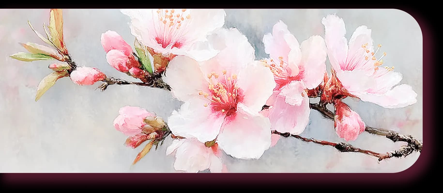 桜の写真